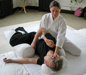 Shiatsu Sessions, Ann Arbor, MI